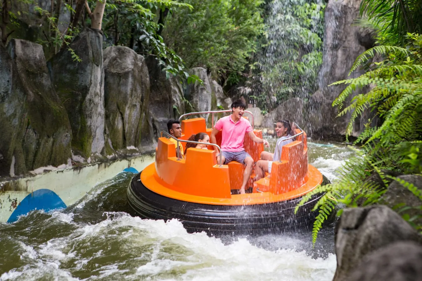 Annual Pass Renewal Benefits